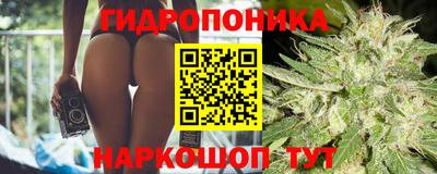 эйфоретик Тара