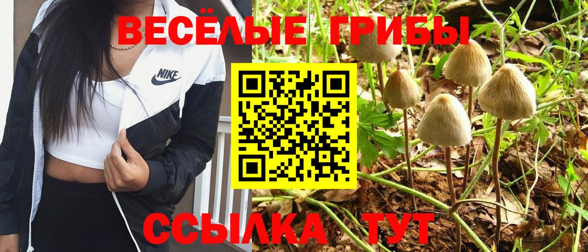 Псилоцибиновые грибы Нижнекамск
